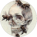 Katerina Levakova profile picture