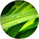 Viktorija Victoria profile picture